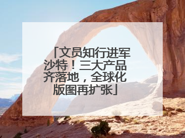 文员知行进军沙特！三大产品齐落地，全球化版图再扩张