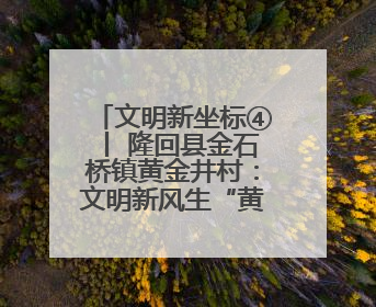 文明新坐标④丨 隆回县金石桥镇黄金井村：文明新风生“黄金” 振兴路上展新姿