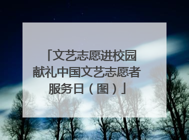 文艺志愿进校园 献礼中国文艺志愿者服务日（图）