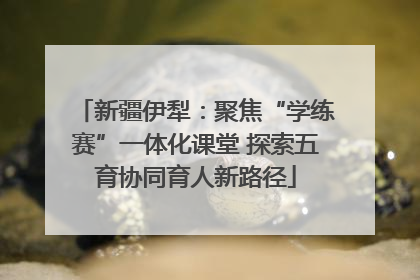 新疆伊犁：聚焦“学练赛”一体化课堂 探索五育协同育人新路径
