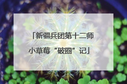 新疆兵团第十二师小草莓“破圈”记