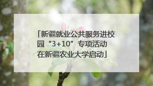 新疆就业公共服务进校园“3+10”专项活动在新疆农业大学启动