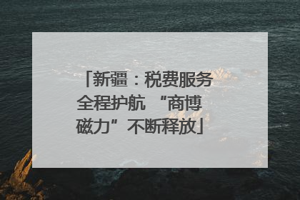 新疆：税费服务全程护航 “商博磁力”不断释放
