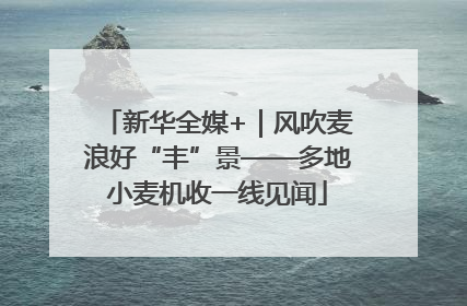 新华全媒+｜风吹麦浪好“丰”景——多地小麦机收一线见闻