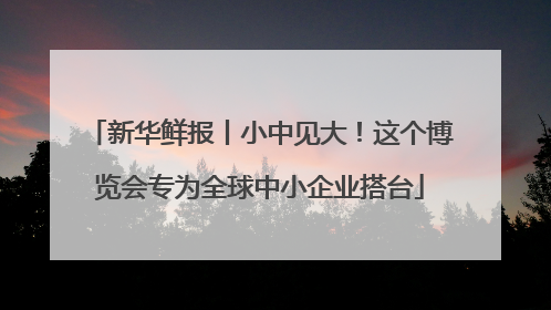 新华鲜报丨小中见大！这个博览会专为全球中小企业搭台