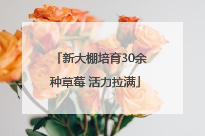 新大棚培育30余种草莓 活力拉满