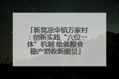 新晃凉伞镇万家村：创新实践“六位一体”机制 绘就粮食稳产增收新图景