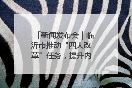 新闻发布会｜临沂市推动“四大改革”任务，提升内部审计监督效能