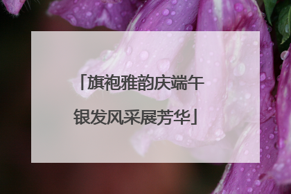 旗袍雅韵庆端午 银发风采展芳华