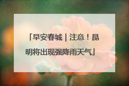 早安春城｜注意！昆明将出现强降雨天气