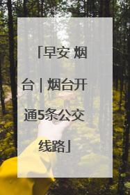 早安 烟台｜烟台开通5条公交线路