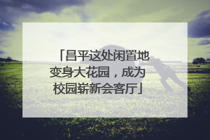 昌平这处闲置地变身大花园，成为校园崭新会客厅