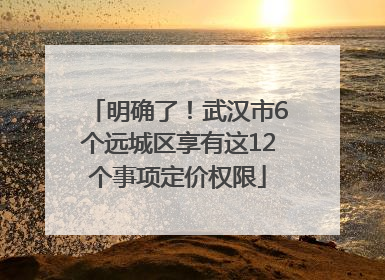 明确了！武汉市6个远城区享有这12个事项定价权限