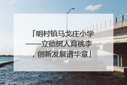 明村镇马戈庄小学——立德树人育桃李，创新发展谱华章