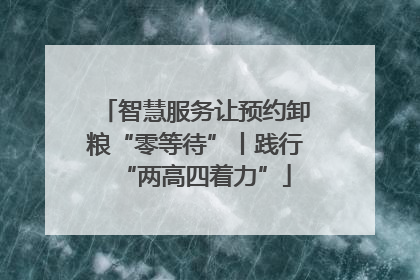 智慧服务让预约卸粮“零等待”丨践行“两高四着力”