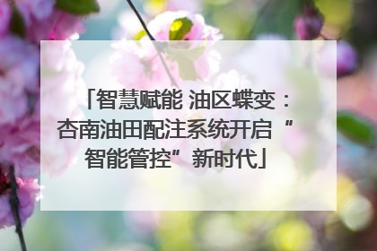 智慧赋能 油区蝶变：杏南油田配注系统开启“智能管控”新时代