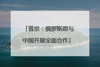 普京：俄罗斯愿与中国开展全面合作