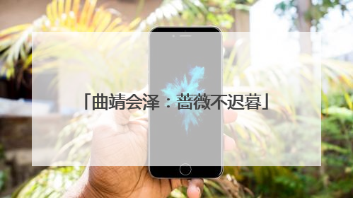曲靖会泽：蔷薇不迟暮