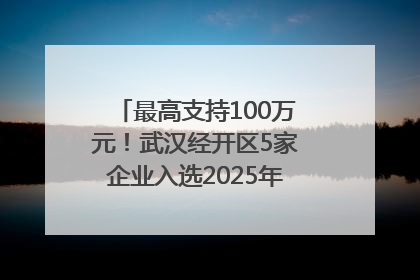 最高支持100万元！武汉经开区5家企业入选2025年度武汉市重点研发计划拟立项项目名单