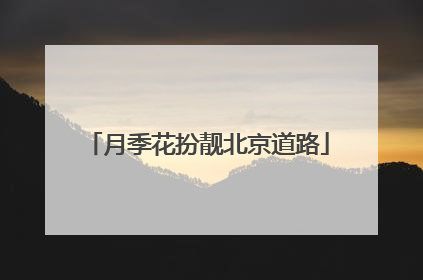 月季花扮靓北京道路