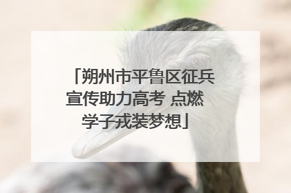 朔州市平鲁区征兵宣传助力高考 点燃学子戎装梦想