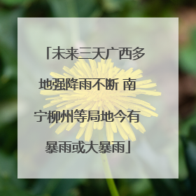 未来三天广西多地强降雨不断 南宁柳州等局地今有暴雨或大暴雨
