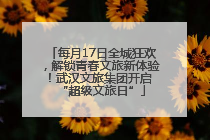 每月17日全城狂欢，解锁青春文旅新体验！武汉文旅集团开启 “超级文旅日”