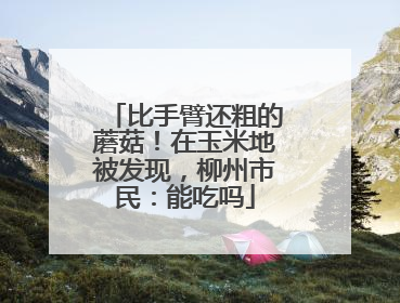 比手臂还粗的蘑菇！在玉米地被发现，柳州市民：能吃吗