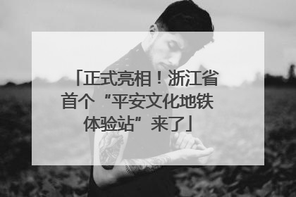 正式亮相！浙江省首个“平安文化地铁体验站”来了