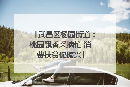 武昌区杨园街道：桃园飘香采摘忙 消费扶贫促振兴