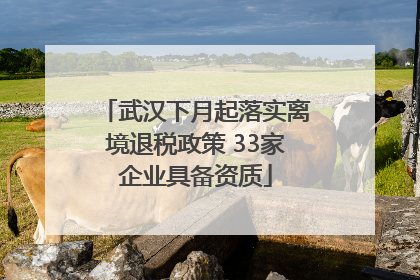武汉下月起落实离境退税政策 33家企业具备资质