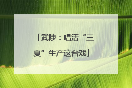 武陟：唱活“三夏”生产这台戏