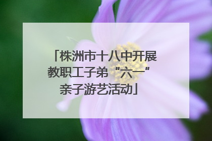 株洲市十八中开展教职工子弟“六一”亲子游艺活动