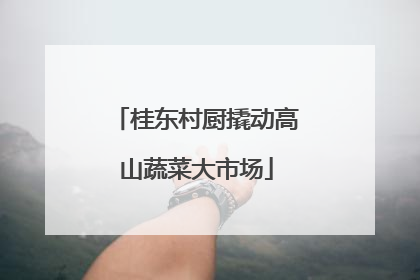 桂东村厨撬动高山蔬菜大市场