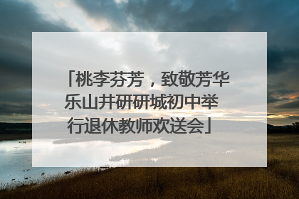 桃李芬芳，致敬芳华 乐山井研研城初中举行退休教师欢送会