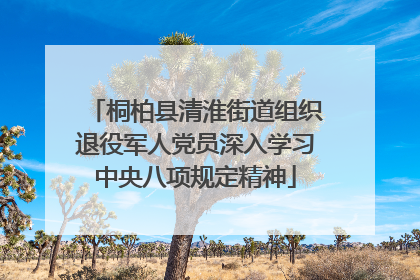 桐柏县清淮街道组织退役军人党员深入学习中央八项规定精神