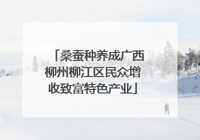桑蚕种养成广西柳州柳江区民众增收致富特色产业