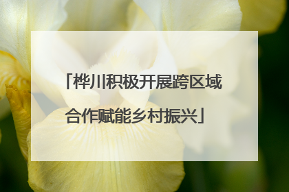 桦川积极开展跨区域合作赋能乡村振兴