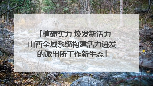 植硬实力 焕发新活力 山西全域系统构建活力迸发的派出所工作新生态