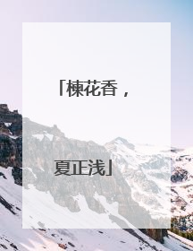 楝花香，夏正浅