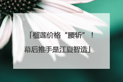 榴莲价格“腰斩”！幕后推手是江夏智造