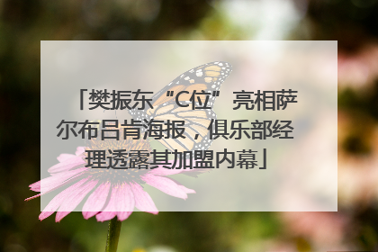 樊振东“C位”亮相萨尔布吕肯海报，俱乐部经理透露其加盟内幕