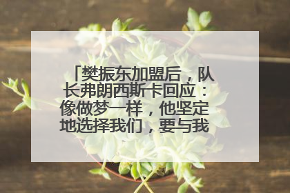 樊振东加盟后，队长弗朗西斯卡回应：像做梦一样，他坚定地选择我们，要与我们一起夺冠