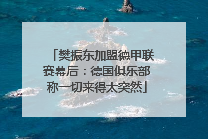樊振东加盟德甲联赛幕后：德国俱乐部称一切来得太突然