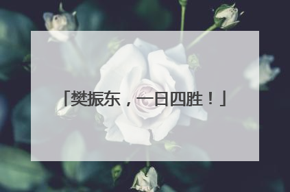 樊振东，一日四胜！