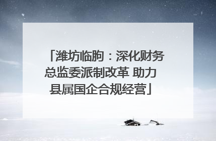潍坊临朐：深化财务总监委派制改革 助力县属国企合规经营