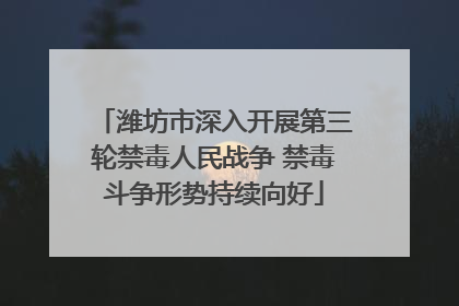 潍坊市深入开展第三轮禁毒人民战争 禁毒斗争形势持续向好