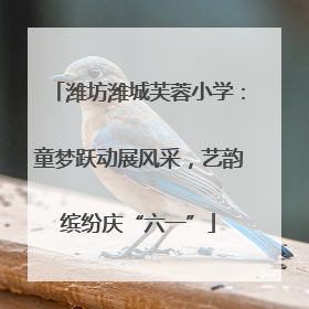 潍坊潍城芙蓉小学：童梦跃动展风采，艺韵缤纷庆“六一”