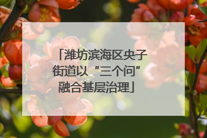 潍坊滨海区央子街道以“三个问”融合基层治理
