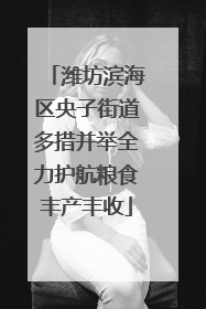 潍坊滨海区央子街道多措并举全力护航粮食丰产丰收